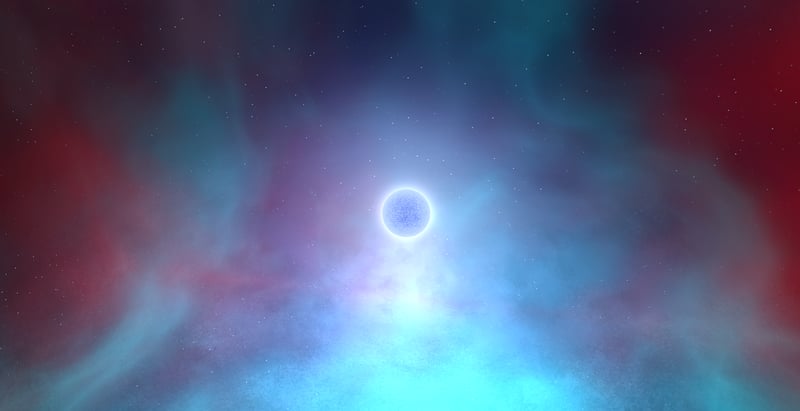 Stardust Gardens